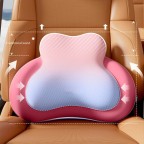 Comfort Neck Pillow and Lumbar Support Set