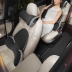 Butterfly Wing Memory Foam Car Lumbar and Neck Support Pillow Set