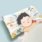 All-Season Removable & Reversible Baby & Toddler Pillow