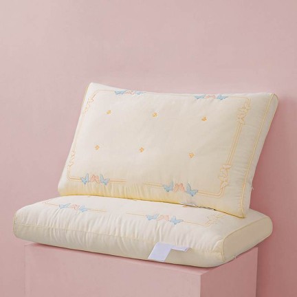 Silk Protein Fiber Filled Cotton Embroidered Pillow